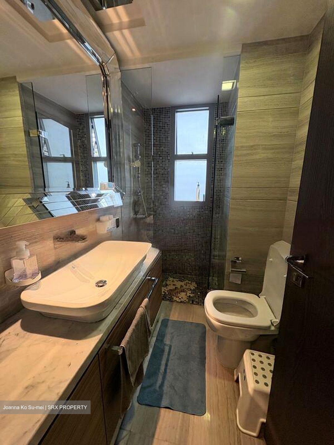 Thomson Grand (D20), Condominium #503765641